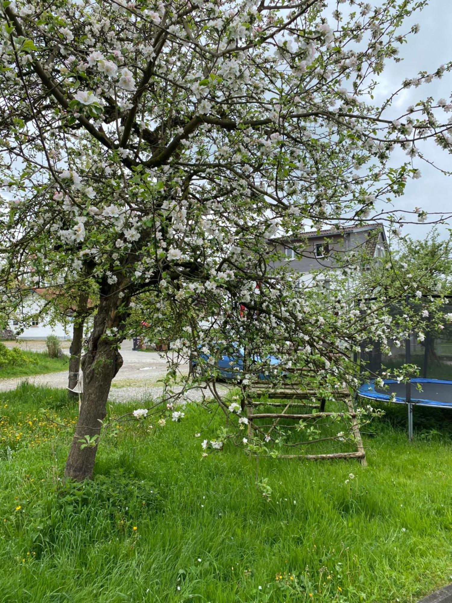 Apartamento Am Brunnen Uberlingen Exterior foto